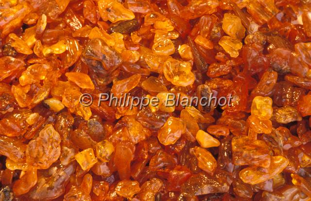 pologne gdansk 06.JPG - Ambre brut avant polissageGdanskPoméranie, Pologne